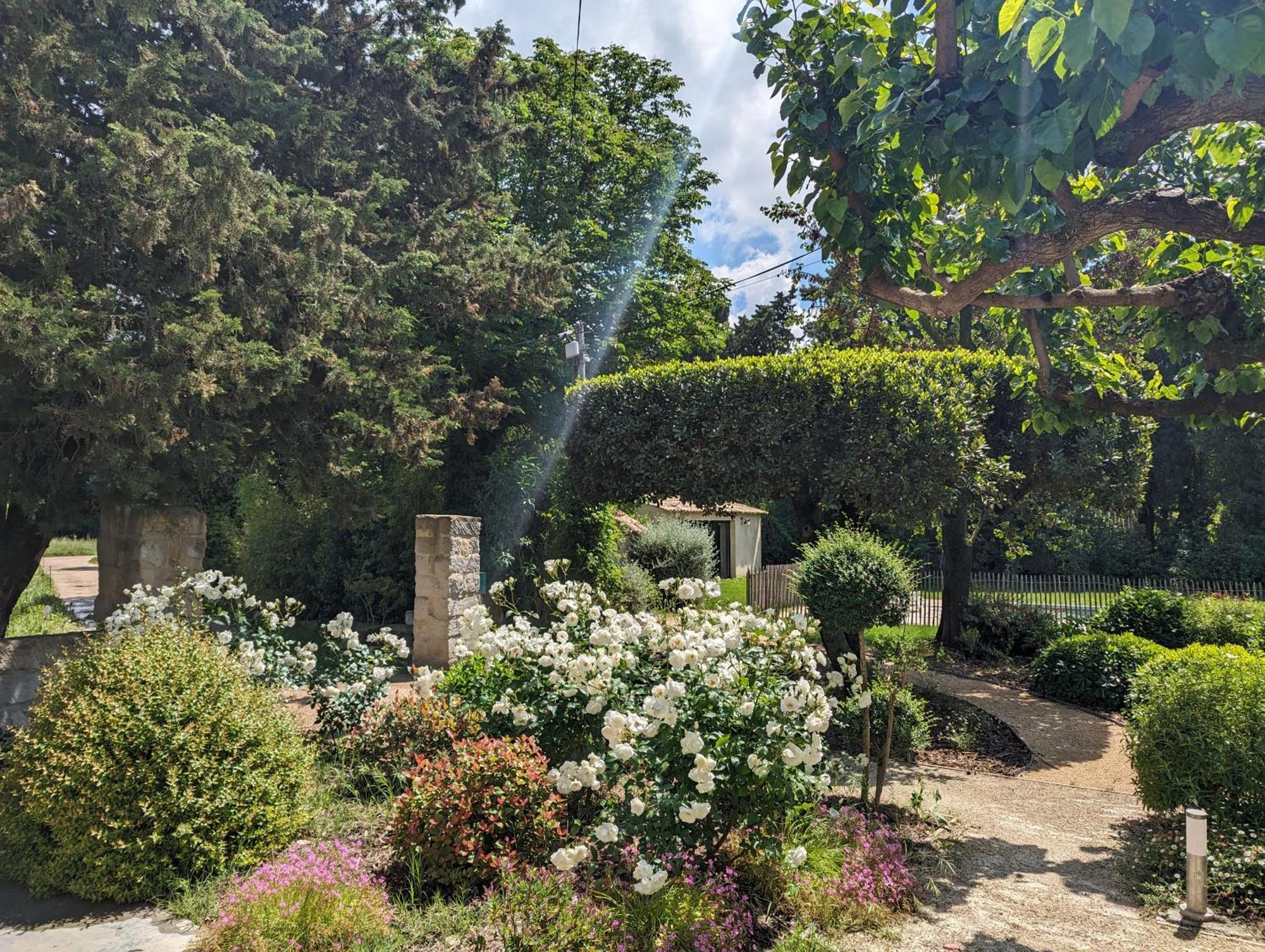 Mas De La Gramillere Hotel Barbentane Екстериор снимка